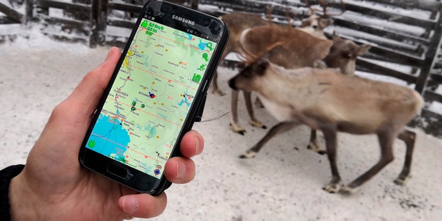 Reindeer herder Seppo Koivisto holds a smartphone, showing the mobile app used to locate reindeer in Finnish Lapland, in Rovaniemi, Finland, Thursday Dec. 13 2018. To keep track of their animals in Lapland, Northern Finland's vast and remote snow-covered forests, reindeer herders are turning to technology by fitting them with internet-connected collars. (AP Photo/James Brooks)