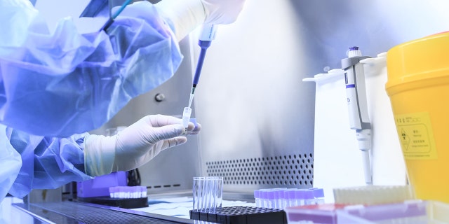 At least 12 patients in three states — Florida, Texas and Arizona — became infected after getting injections for problems like joint and back pain, the Centers for Disease Control and Prevention said.