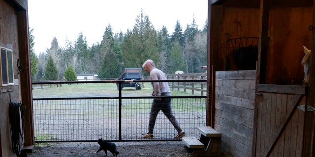 In this Monday, Dec. 10, 2018, photo, Robel, an 18-year-old tech addict from California, leaves a barn after helping feed animals at the Rise Up Ranch outside rural Carnation, Wash. (AP Photo/Martha Irvine)