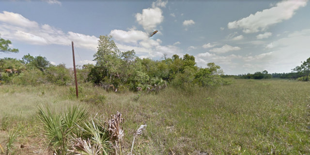 Google Maps User Spots Ufo Floating Above Florida Swamp Just Google Maps User Spots Ufo Floating Above Florida Swamp Just