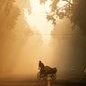 A man rides a rickshaw on a smoggy morning in New Delhi, India, Dec. 26, 2018. 