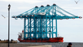 daily news top stories today Spectators crowd a pier as they watch a Chinese ship carrying giant cranes approach the entrance to Hampton Roads in Hampton, Va., Monday, Jan. 7, 2019. The four new ship- to-shore cranes are part of the $320 million expansion of Virginia International Gateway. (AP Photo/Steve Helber)