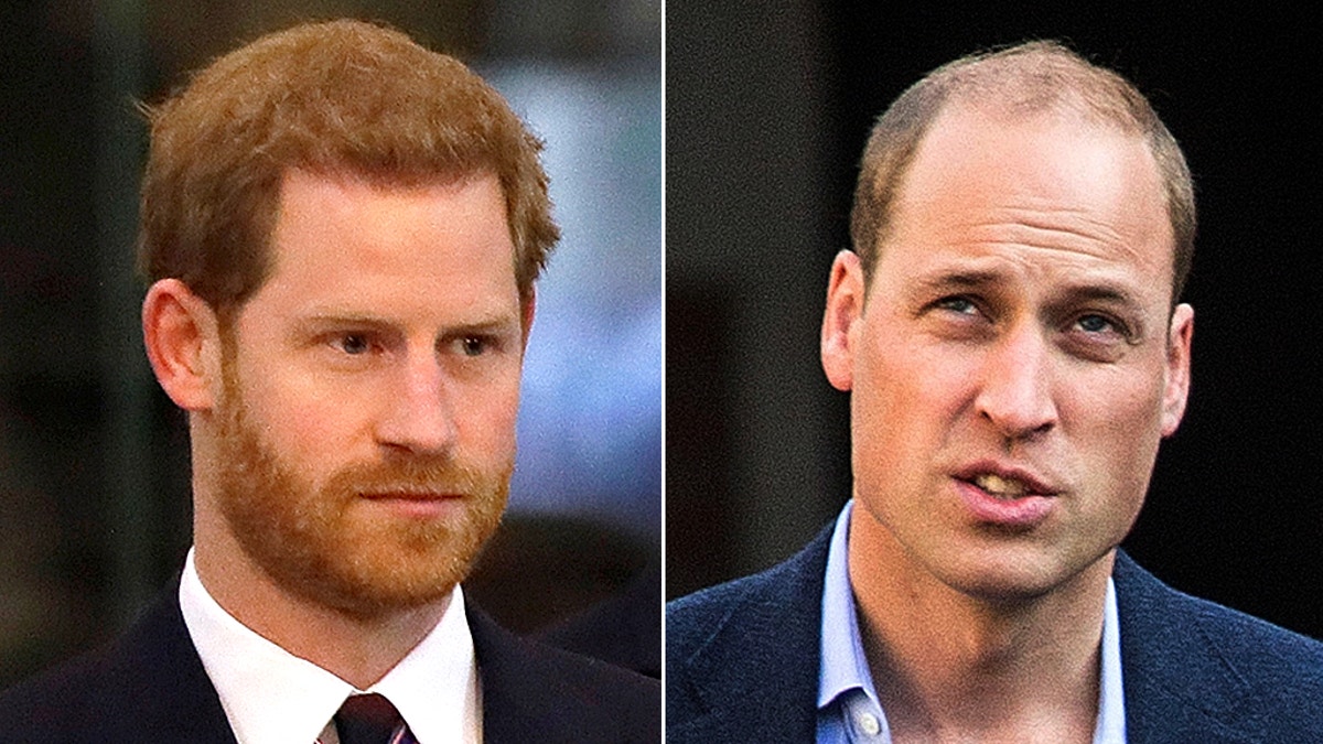 Princes Harry (left) and William (right) have reportedly 'opened communication channels' following Harry's interview with Oprah Winfrey.