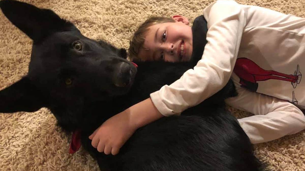 An 8-year-old North Carolina boy, who is receiving cancer treatment in Utah, was reunited with his beloved dog thanks to the kindness of a complete stranger.