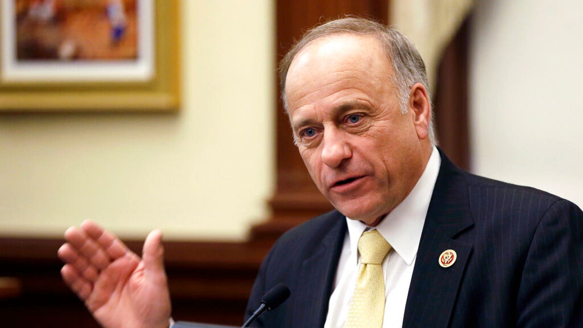 Rep. Steve King, R-Iowa, in 2014. (AP Photo/Charlie Neibergall, File)