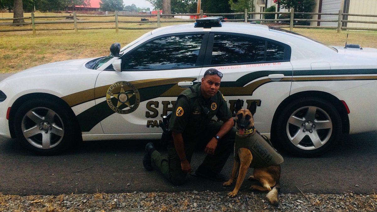 Faulkner County Deputy Keenan Wallace, a K9 handler, was fired Saturday after shooting a Chihuahua during a service call. The incident was captured on video.