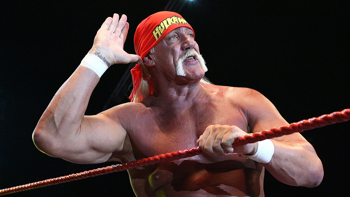 Hulk Hogan after surviving 'crazy' airplane landing | Fox News
