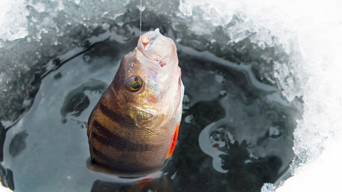 Protect those finishes and you'll reap the benefits later.