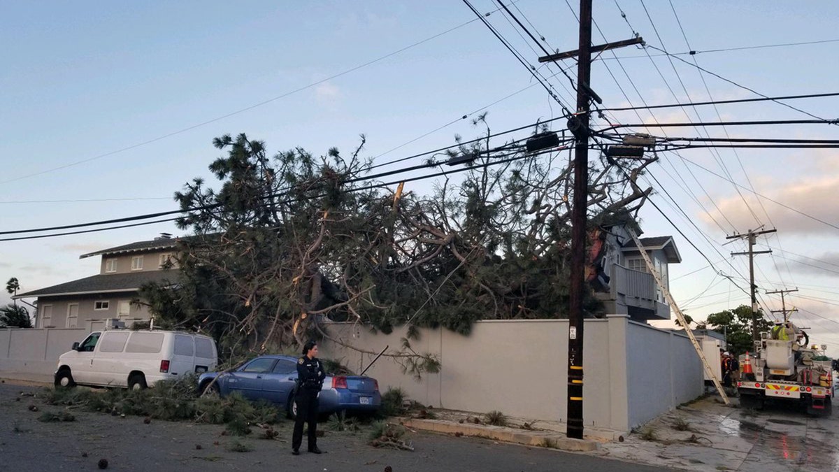 Two people were killed after a large tree fell on a home in the Point Loma neighborhood of San Diego on Monday.