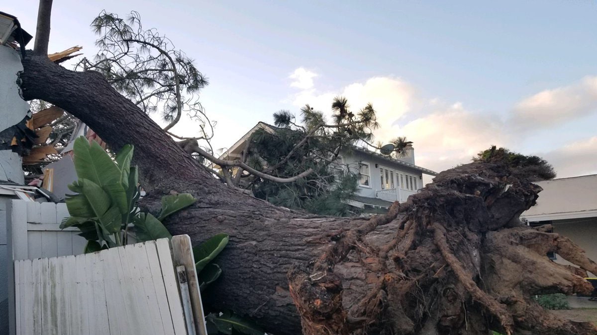 A fire official told FOX5 that high winds in the area at the time were "obviously" a factor.