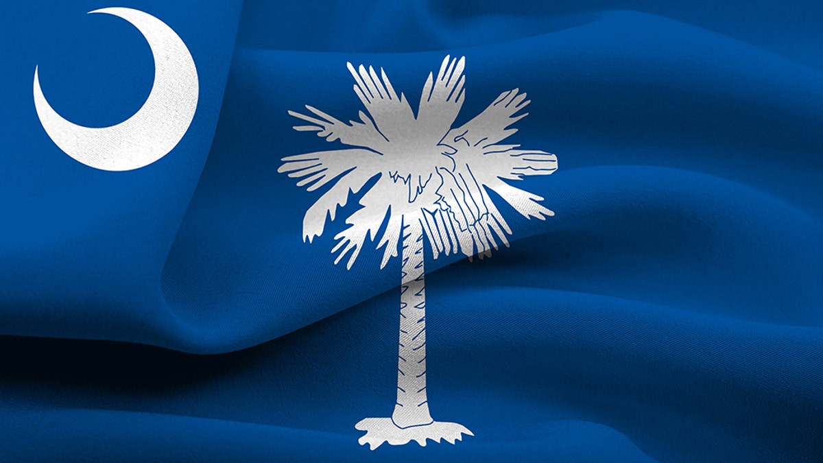 The state flag of South Carolina.