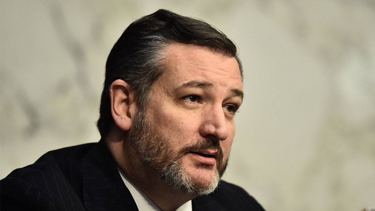 Sen. Ted Cruz, R-Texas. (NICHOLAS KAMM/AFP/Getty Images)