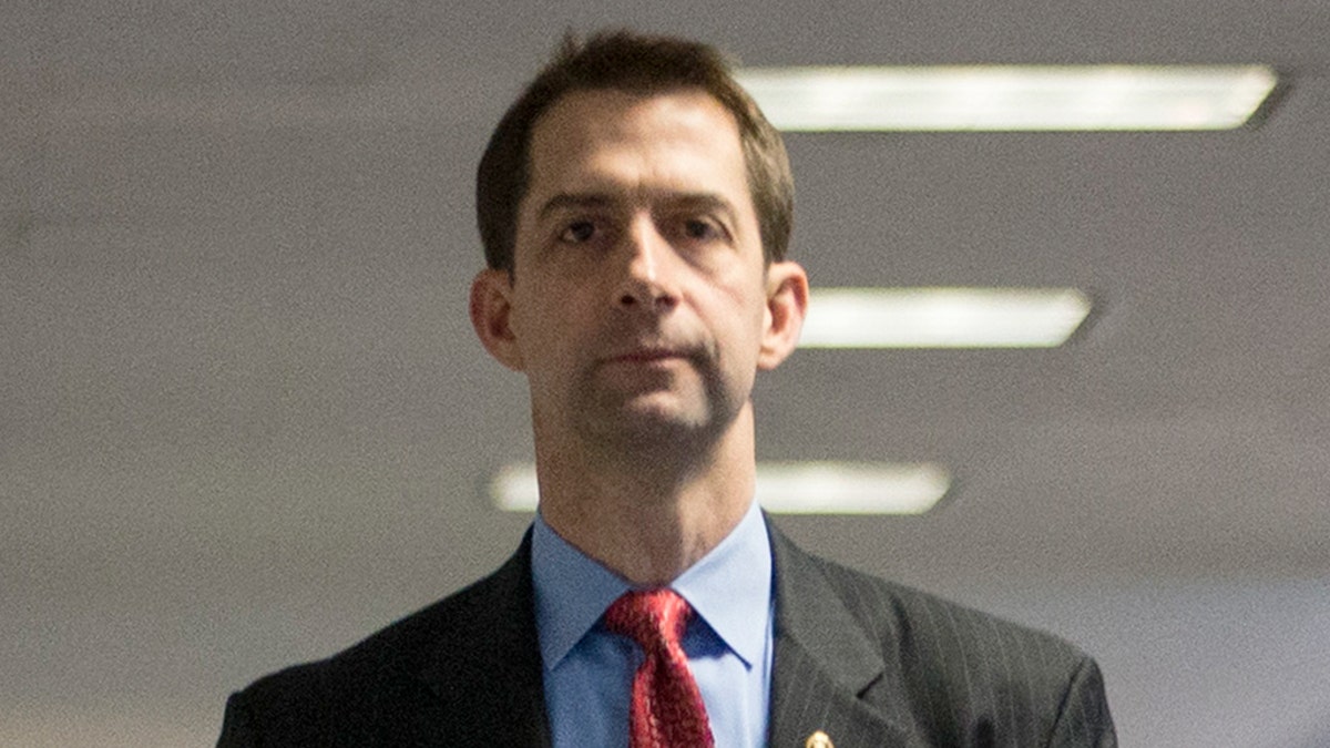 Sen. Tom Cotton, R-Ark. (Zach Gibson/Getty Images)