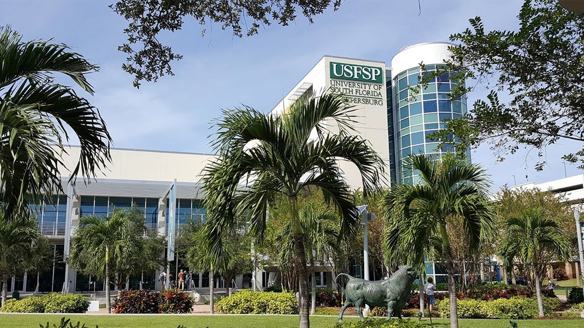 The University of South Florida St. Petersburg said it accidentally sent out more than 400 acceptance letters. 