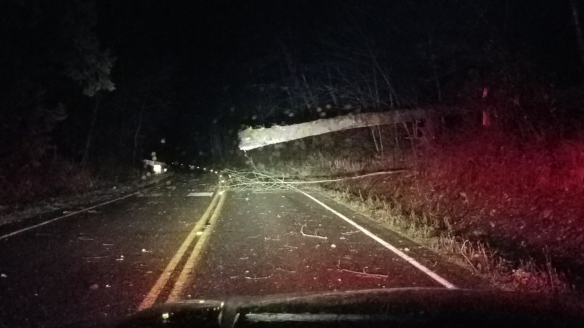 Numerous roads were closed throughout the region after strong winds brought down trees and power lines.