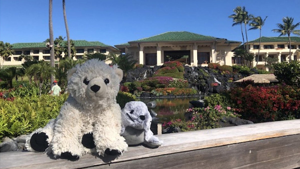 Hotel staff at the Grand Hyatt Kauai took a little boy's bear on an adventure after he left it behind.