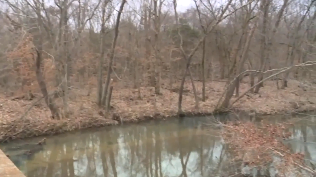 A Missouri man died Tuesday after he slipped and fell while clearing a beaver dam, report said.