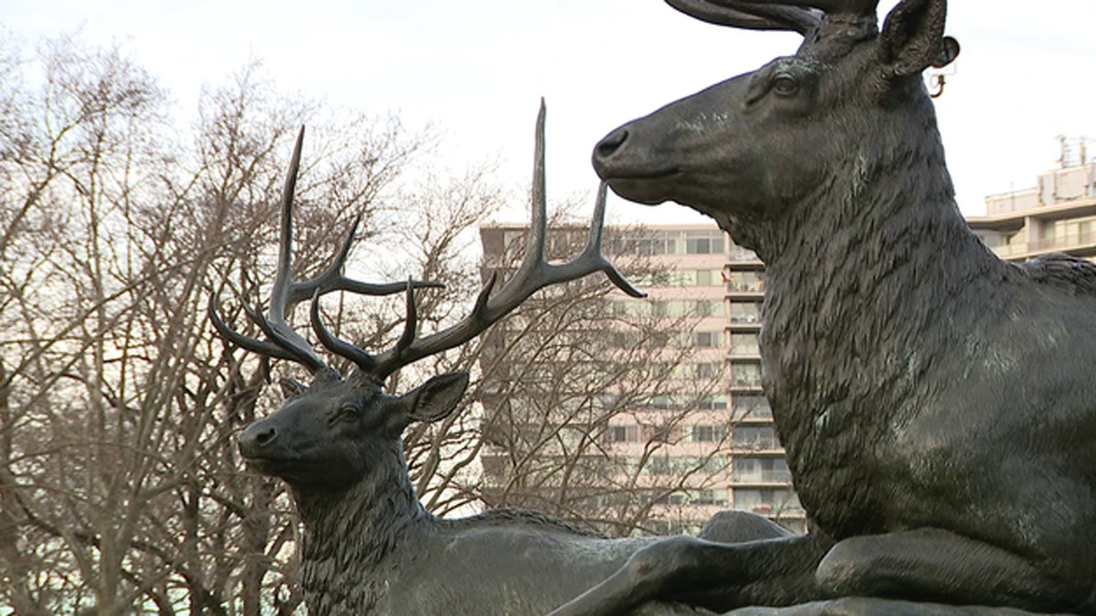 A man ended up impaled on a statue of a deer in Philadelphia on New Year's Day, according to officials.