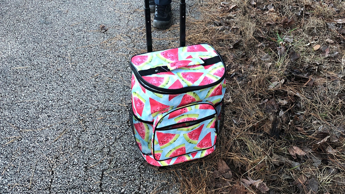A cooler with the body of a baby was discovered in Troup County, Georgia on Sunday.