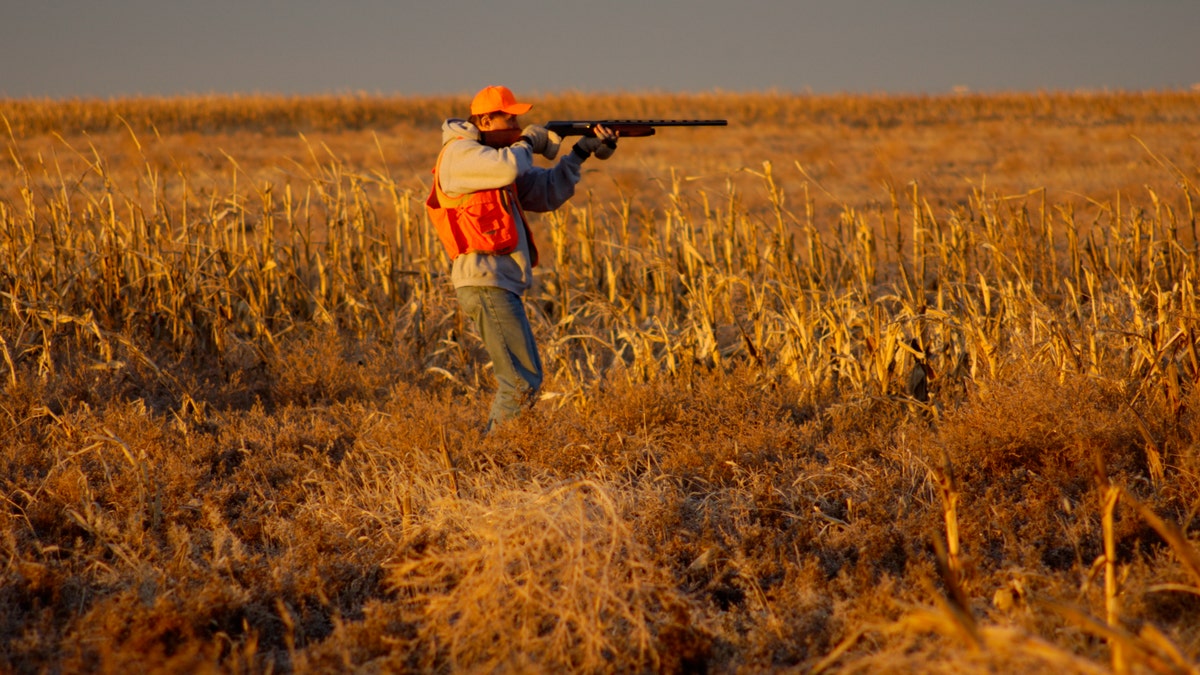 It is required by law to wear orange or pink when hunting deer during gun season in Louisiana.