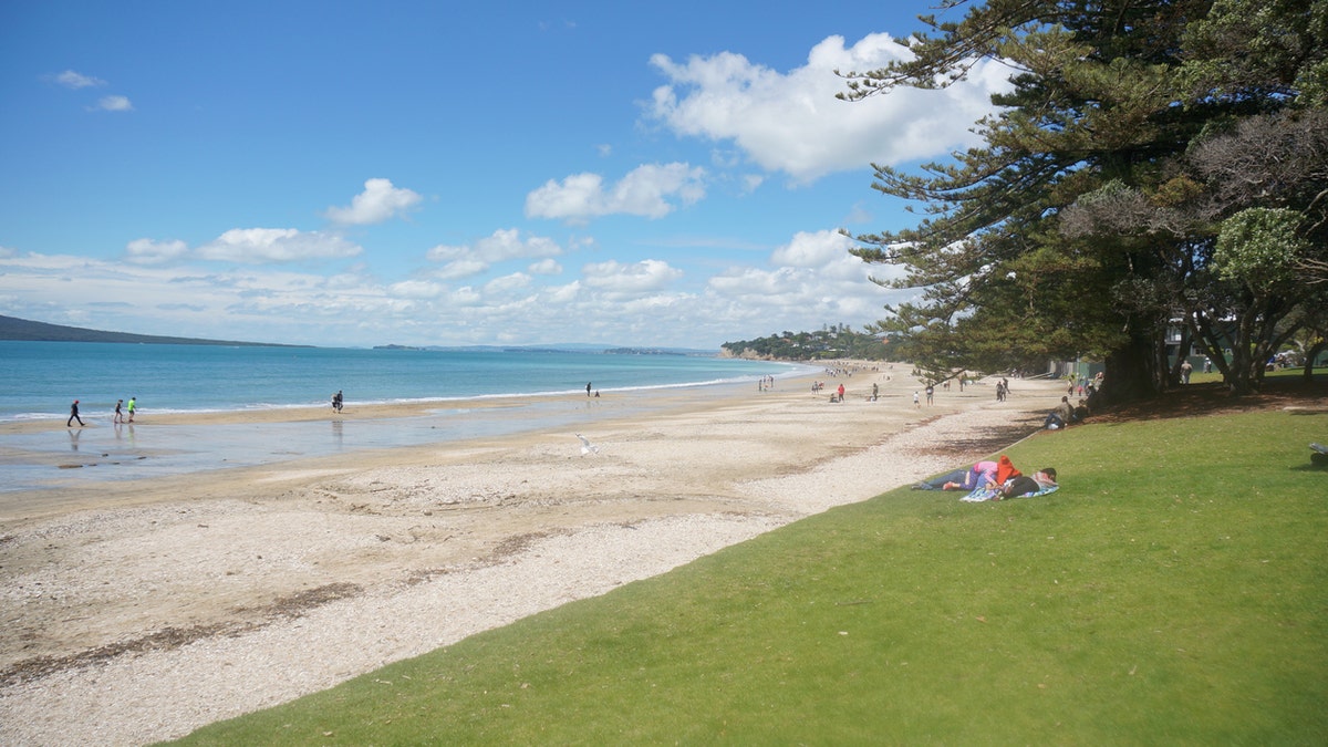 The family of tourists allegedly littered at an Takapuna Beach in Aukland, New Zealand, as well as threatened locals and left a hotel room strewn with garbage and food.