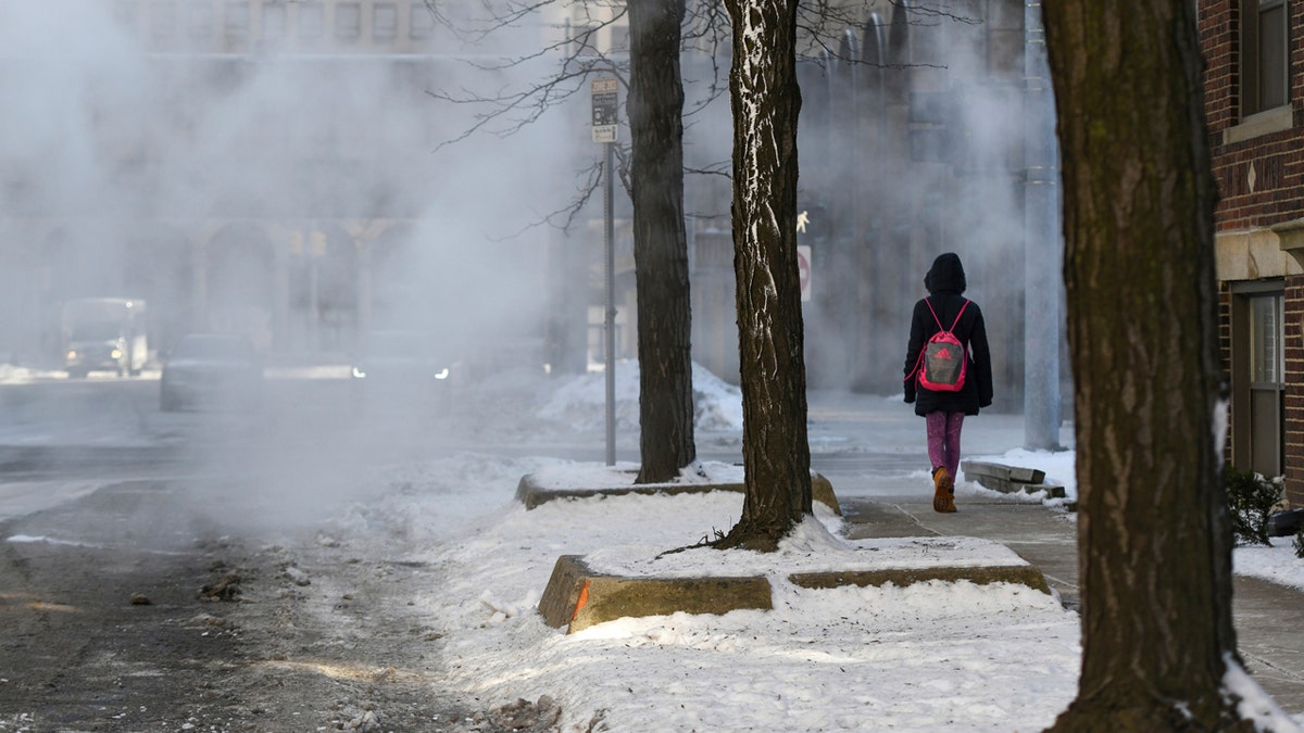 A women walks down a steamy sidewalk in Detroit's New Center Wednesday, Jan. 30, 2019 as low temperatures dip below freezing.