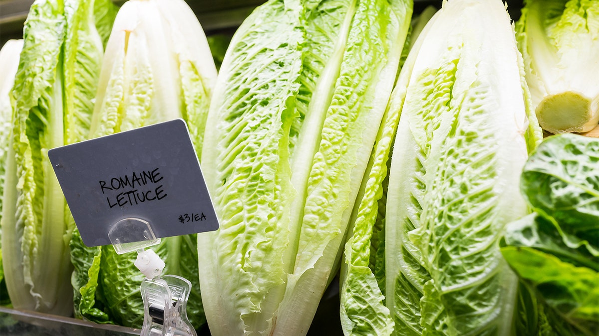 Romaine Lettuce E. Coli Outbreak ‘appears To Be Over,’ CDC Says | Fox News