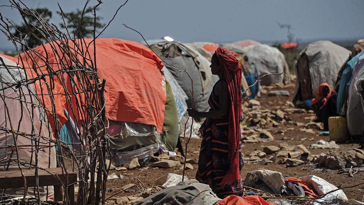 A Somali woman carries wood to make a shelter in an internally displaced people camp on Dec. 18, 2018.