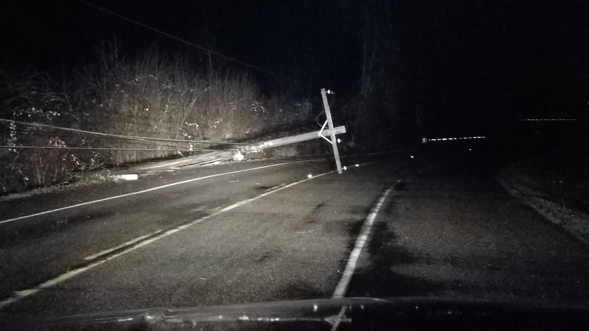 The storm toppled trees and powerlines throughout Western Washington.