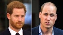 Prince William won't welcome Prince Harry back despite new plea for reconciliation: expert