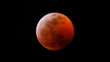 Cop hits 2 pedestrians lying on road watching â€˜super blood Moonâ€™