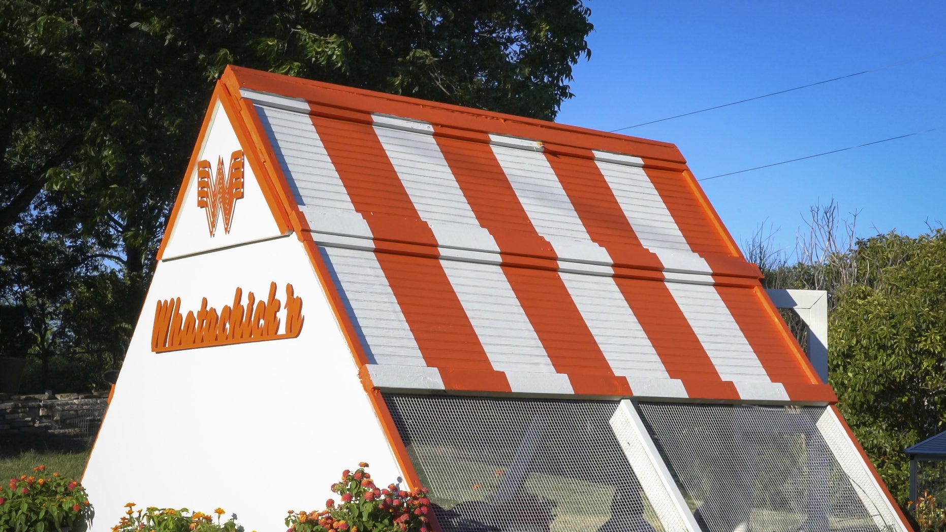 Whataburger Fans Build Orange And White Whatacoop For 