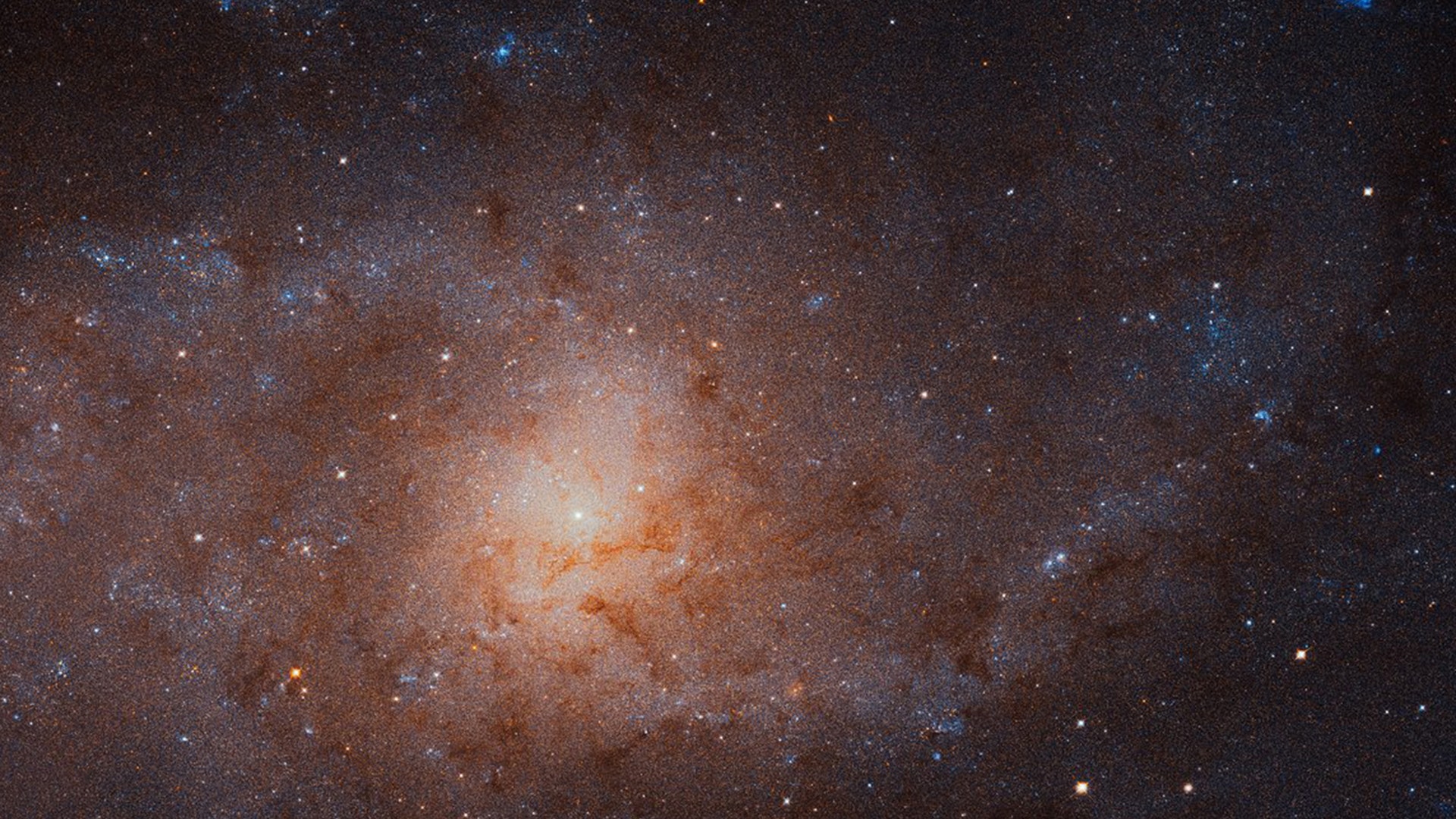 This image of the Triangulum Galaxy, also known as Messier 33 is a composite of about 54 different pointings with Hubble’s Advanced Camera for Surveys released by NASA, Jan. 7, 2019.