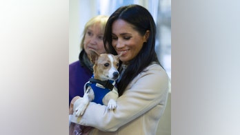 Meghan Markle opens up about being a 'proud rescue dog owner' for charity