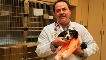 Puppy's paws pointed up instead of down, but surgery fixed that, doctor says