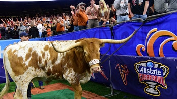 PETA calls on Texas, Georgia to end live mascot use after Sugar Bowl incident