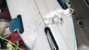 California teen surfer fends off great white shark, gets 50 stitches