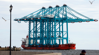 China dismisses American concerns about 'spy cranes' as 'paranoia'