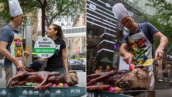 PETA grill prop dog in disturbing demonstration promoting veganism at Sydney shopping mall