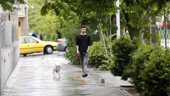 Public dog walking banned in Tehran: report