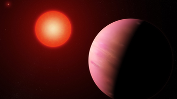 Distant, possibly habitable planet spotted by citizen scientists