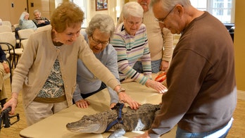 Emotional support alligator visits Pennsylvania senior facility to offer comfort