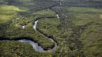 Up to 1 million species are at risk of extinction, and it's all our fault