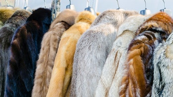 Retailers slammed by Humane Society for selling real fur as fake