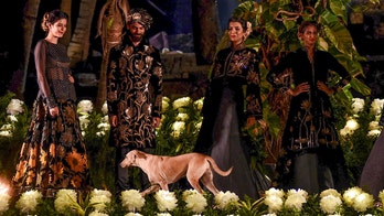 Stray dog crashes runway at Mumbai fashion show, goes viral on Twitter