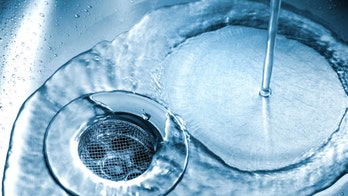 Kitchen cleaning: 5 things to never pour down the drain