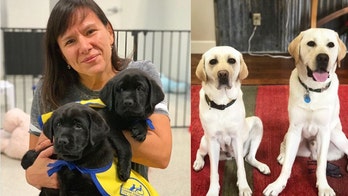 Spike’s family reunion and new puppy beginnings