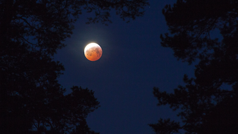 Miss the 2019 Blood Moon? Here's when the next one will occur
