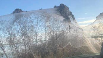 'Raining' spiders? Sky in Brazil covered with black dots during 'strange' phenomenon