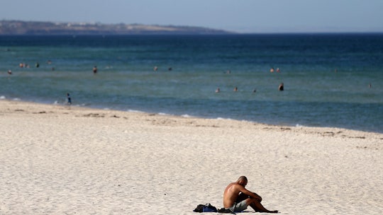 Australia heat sets new records, as dozens of wild horses are found dead by dry waterhole